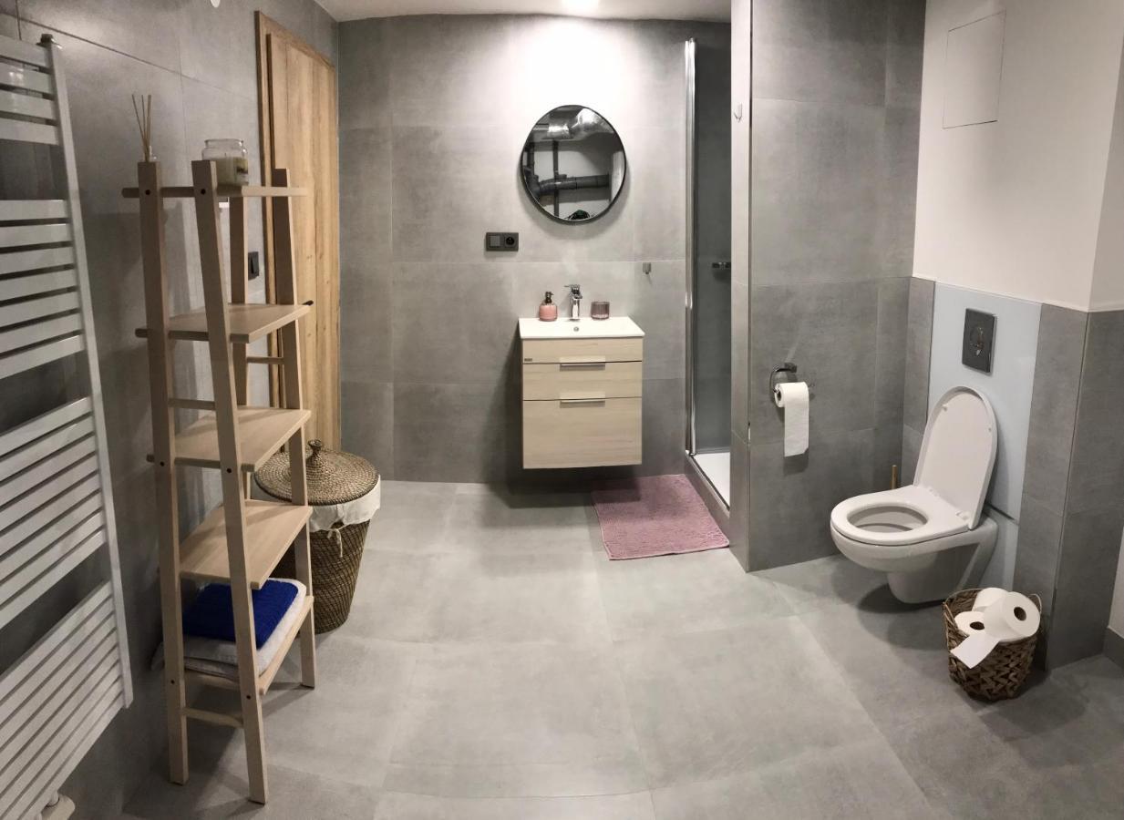 Soukromý pokoj s kuchyní a koupelnou v řadovce Nove Mesto na Morave Exterior foto